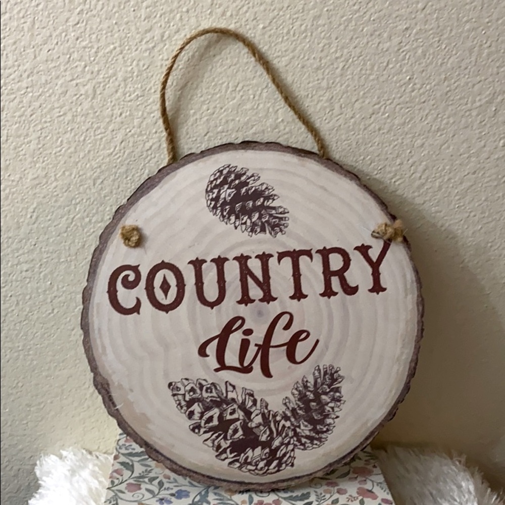 Wall hanging decor